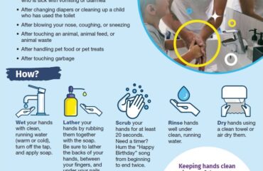 cdc wash your hands fact sheet