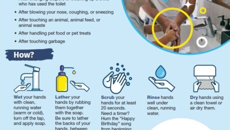 cdc wash your hands fact sheet